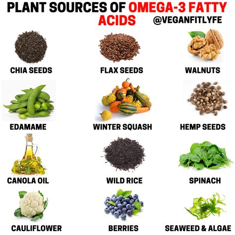 vegan source of omega 3